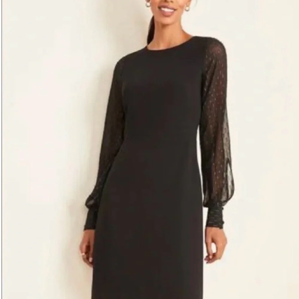 Ann Taylor Dress with Sheer Metallic Statement Sleeves - wedding guest - Picture 1 of 11